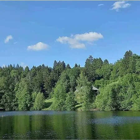 On The Dachsberg * Wittenschwand