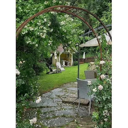 On The Dachsberg Wittenschwand