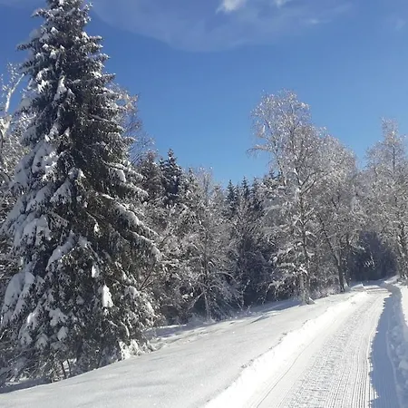 Hébergement de vacances On The Dachsberg Wittenschwand