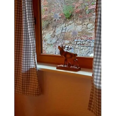 Hébergement de vacances On The Dachsberg *