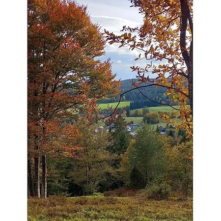 On The Dachsberg Wittenschwand