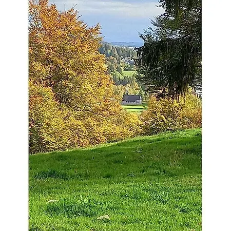 On The Dachsberg بيت للعطل Wittenschwand