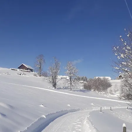 On The Dachsberg