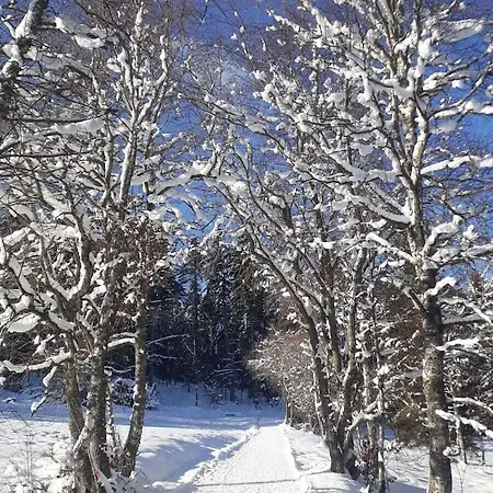 On The Dachsberg Hébergement de vacances Wittenschwand