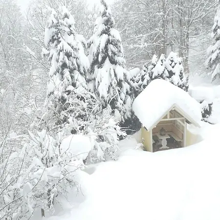 On The Dachsberg *