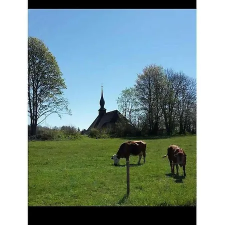 On The Dachsberg