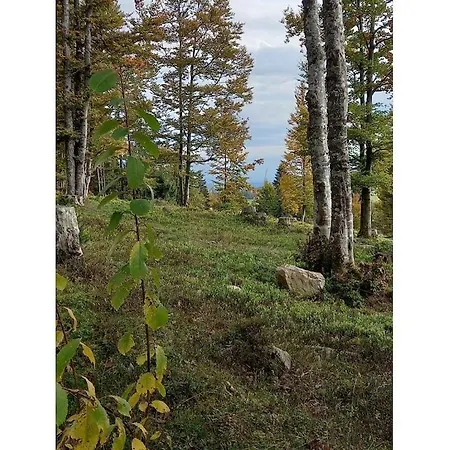 On The Dachsberg Hébergement de vacances *