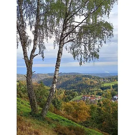 On The Dachsberg Holiday home Wittenschwand